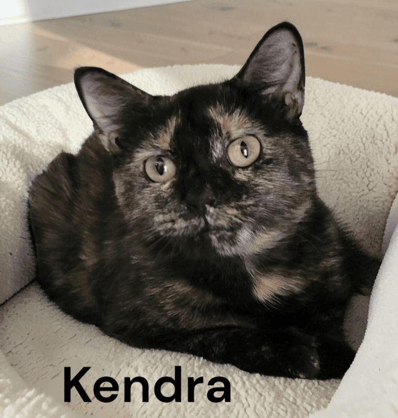 Kendra