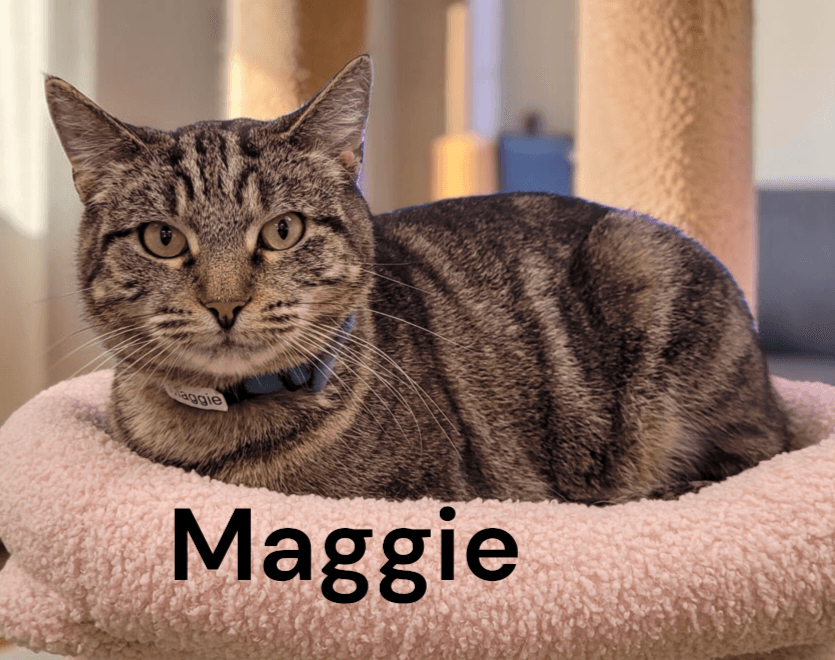 Maggie