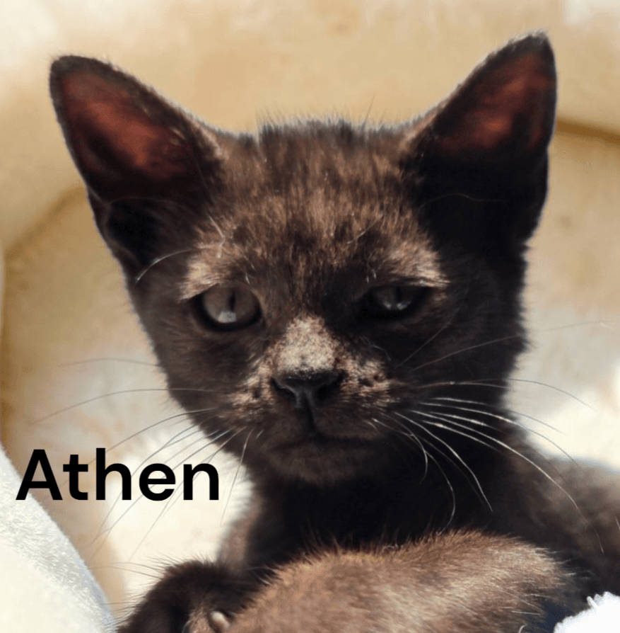 Athen