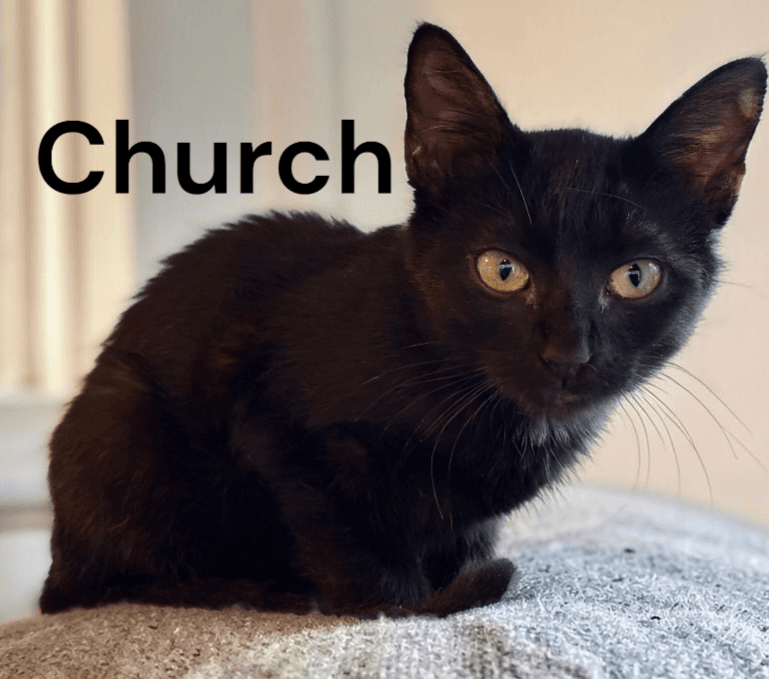 Church