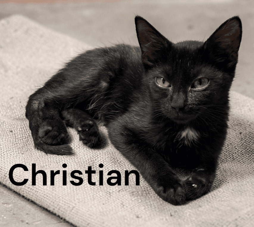 Christian