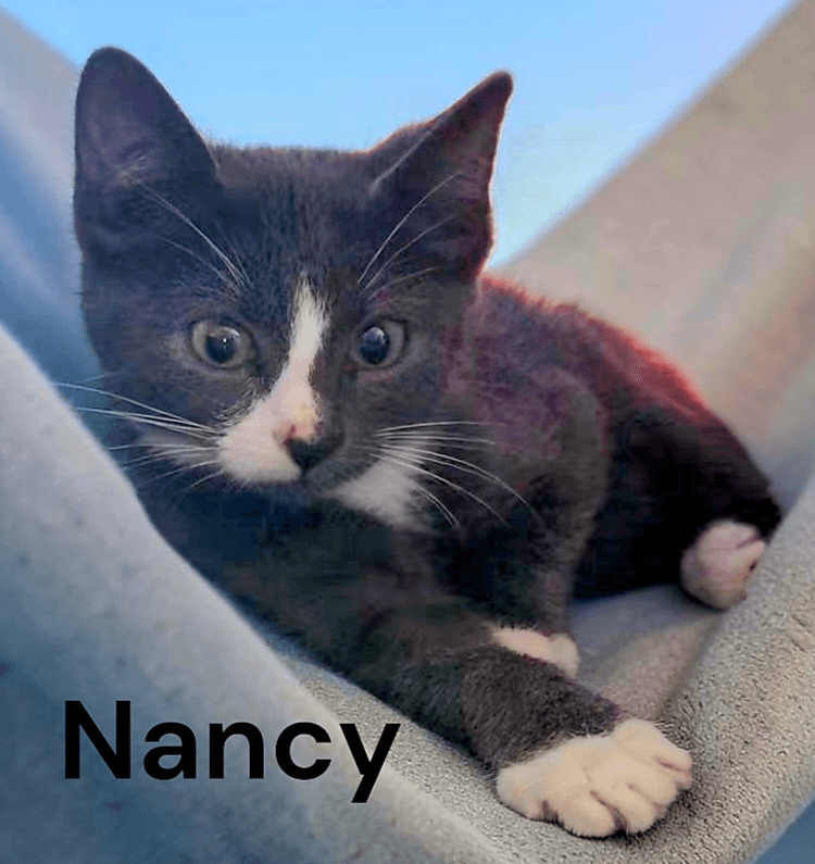 Nancy
