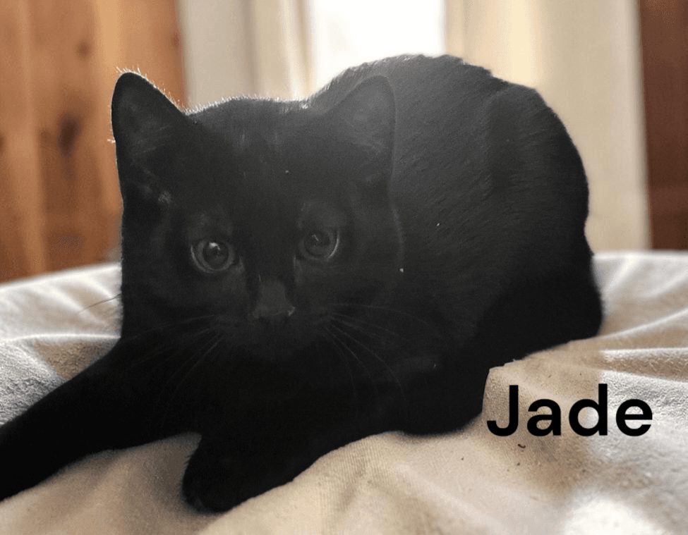 Jade