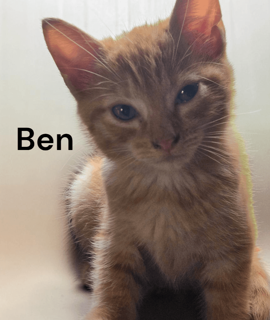 Ben
