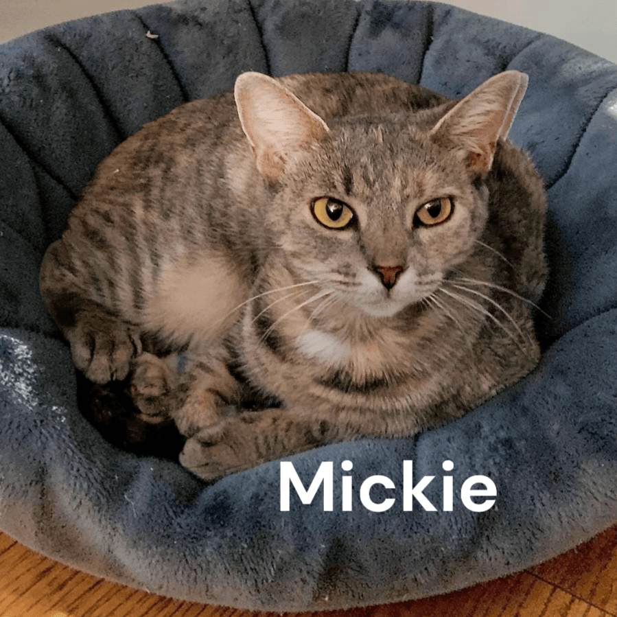 Mickie