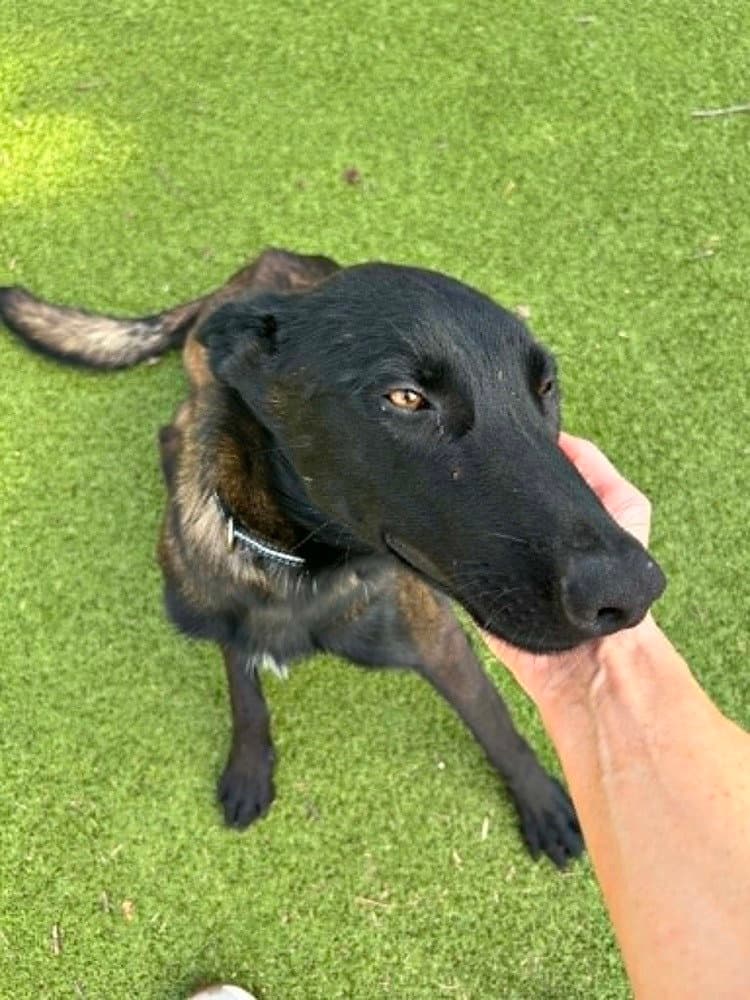 Onyx - Located in KS
