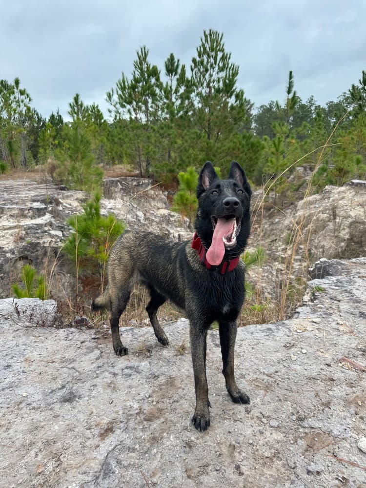 Omen - Located in FL