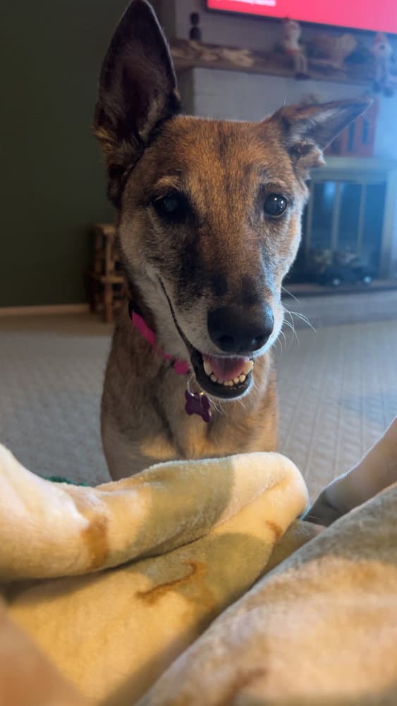 Celia - Located in PA