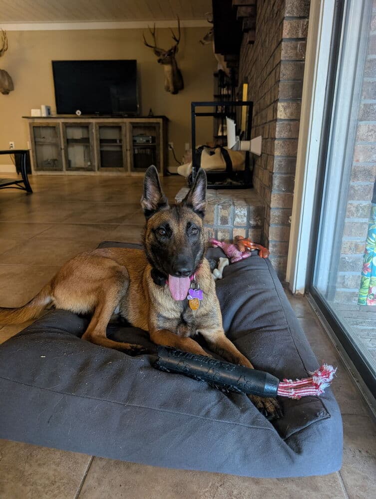 Seren - Located in Florida
