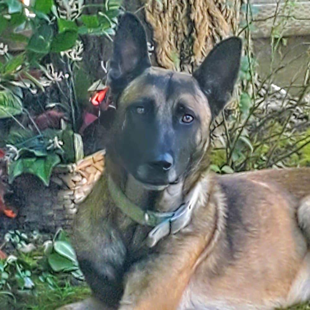 Jett- Located in California