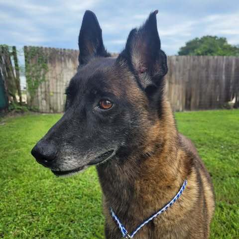 Country Queens - Reba - Located in FL