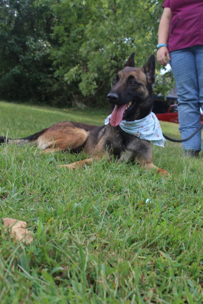 Lark - Located in VA
