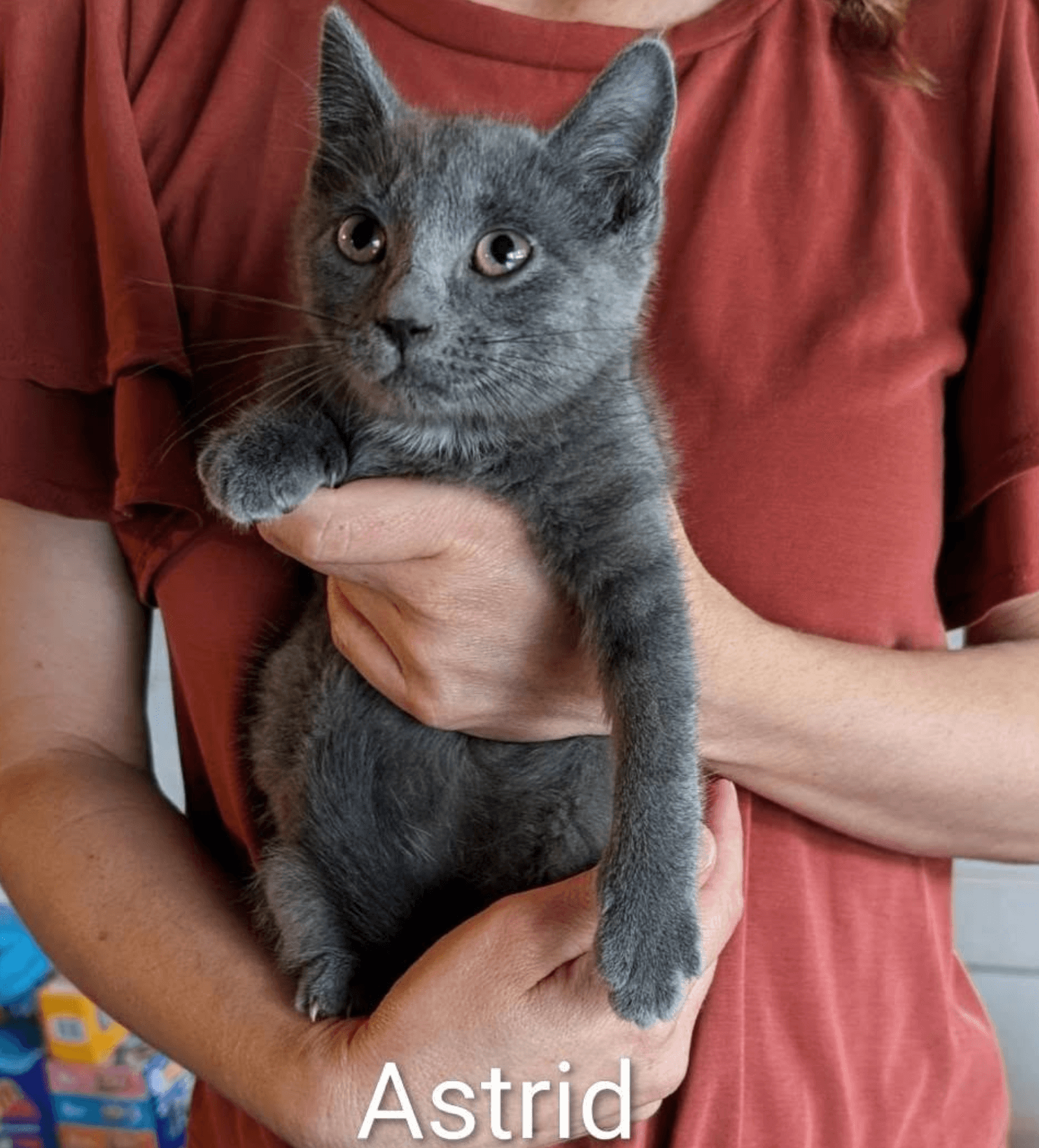 Astrid