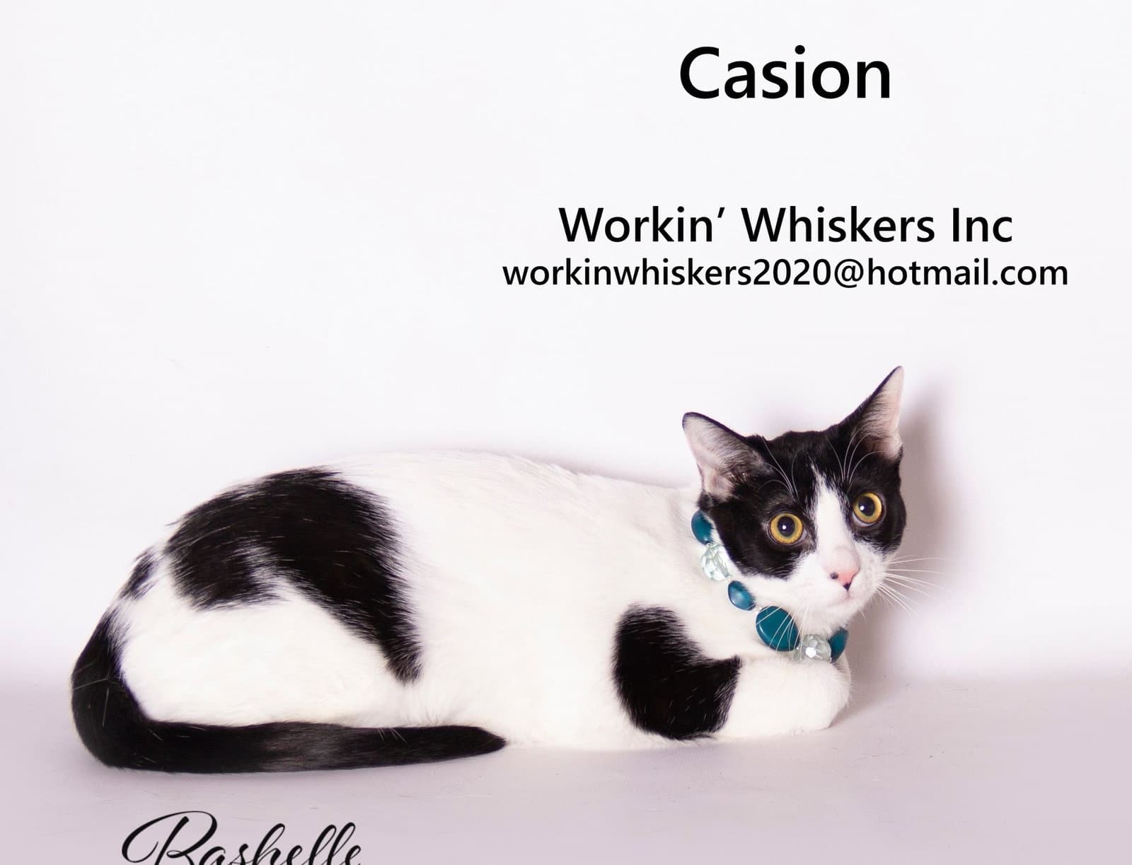 Casion