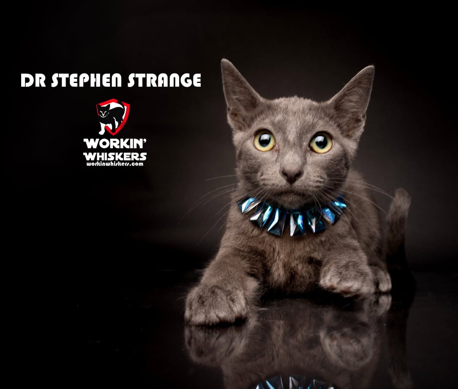 DR STEPHEN STRANGE