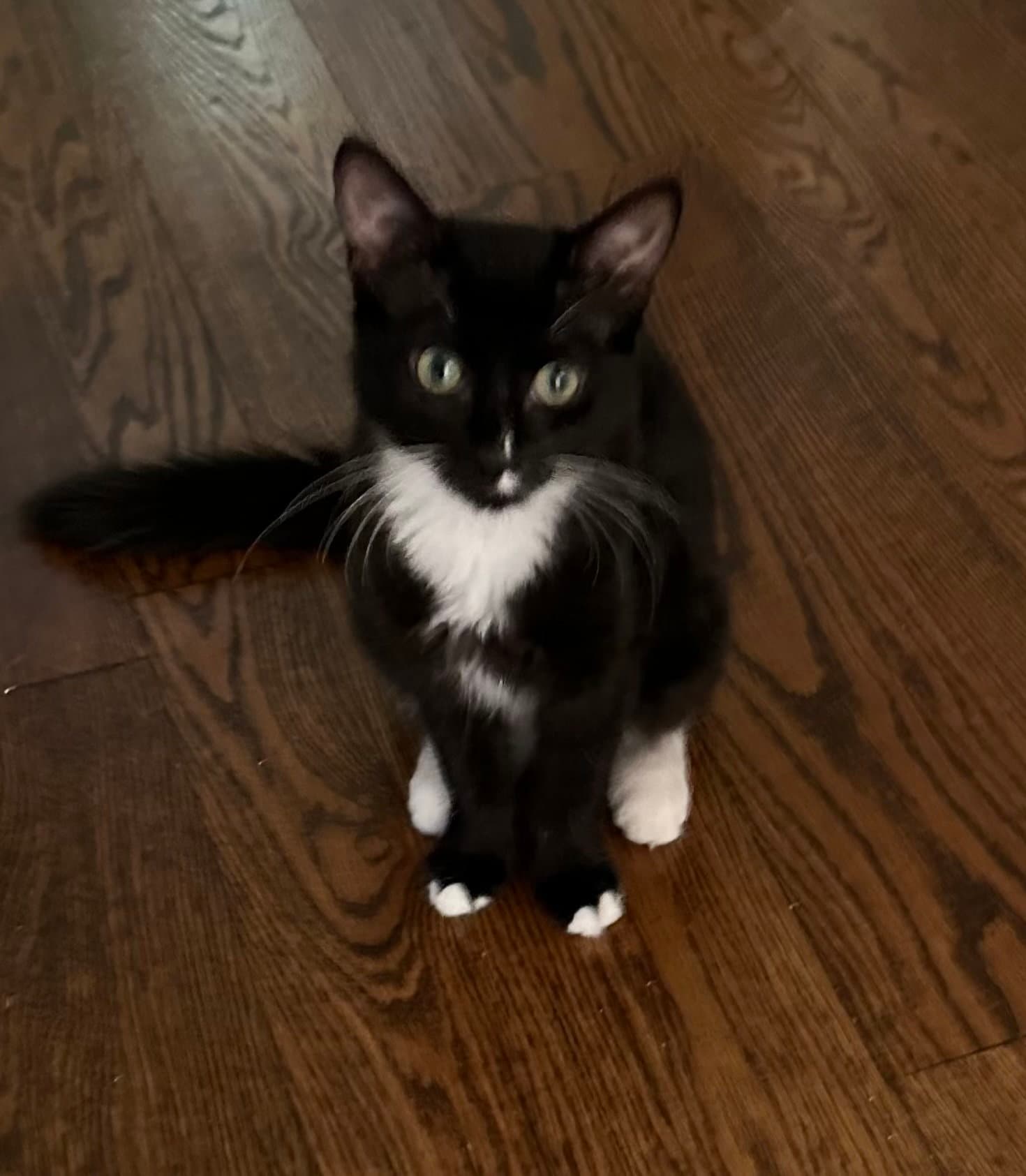 Gina
