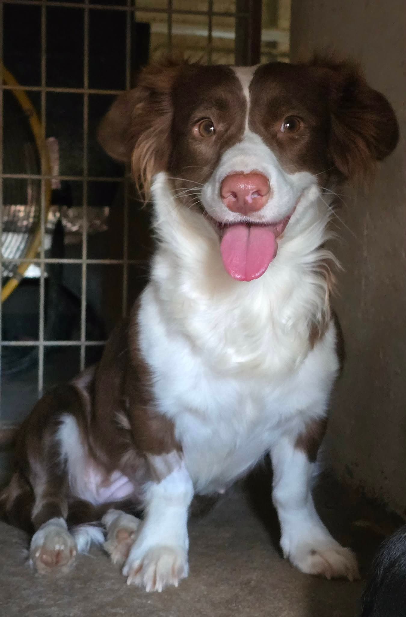 Millie