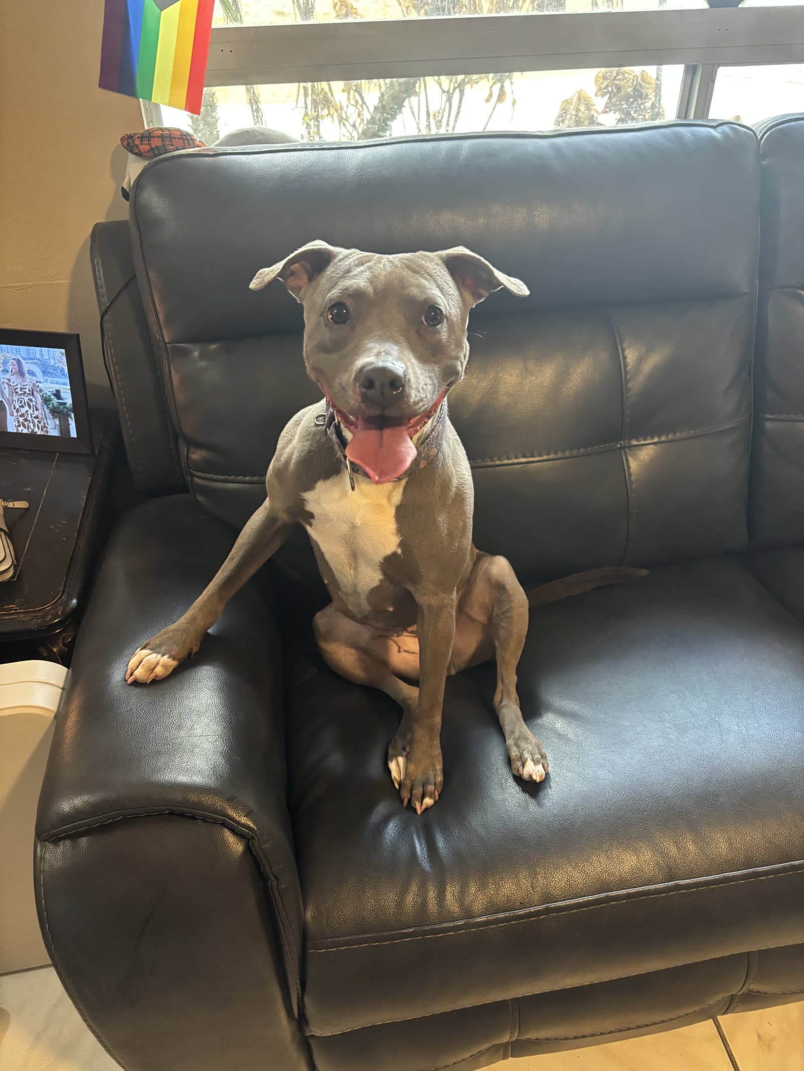 Penny (Penelope)