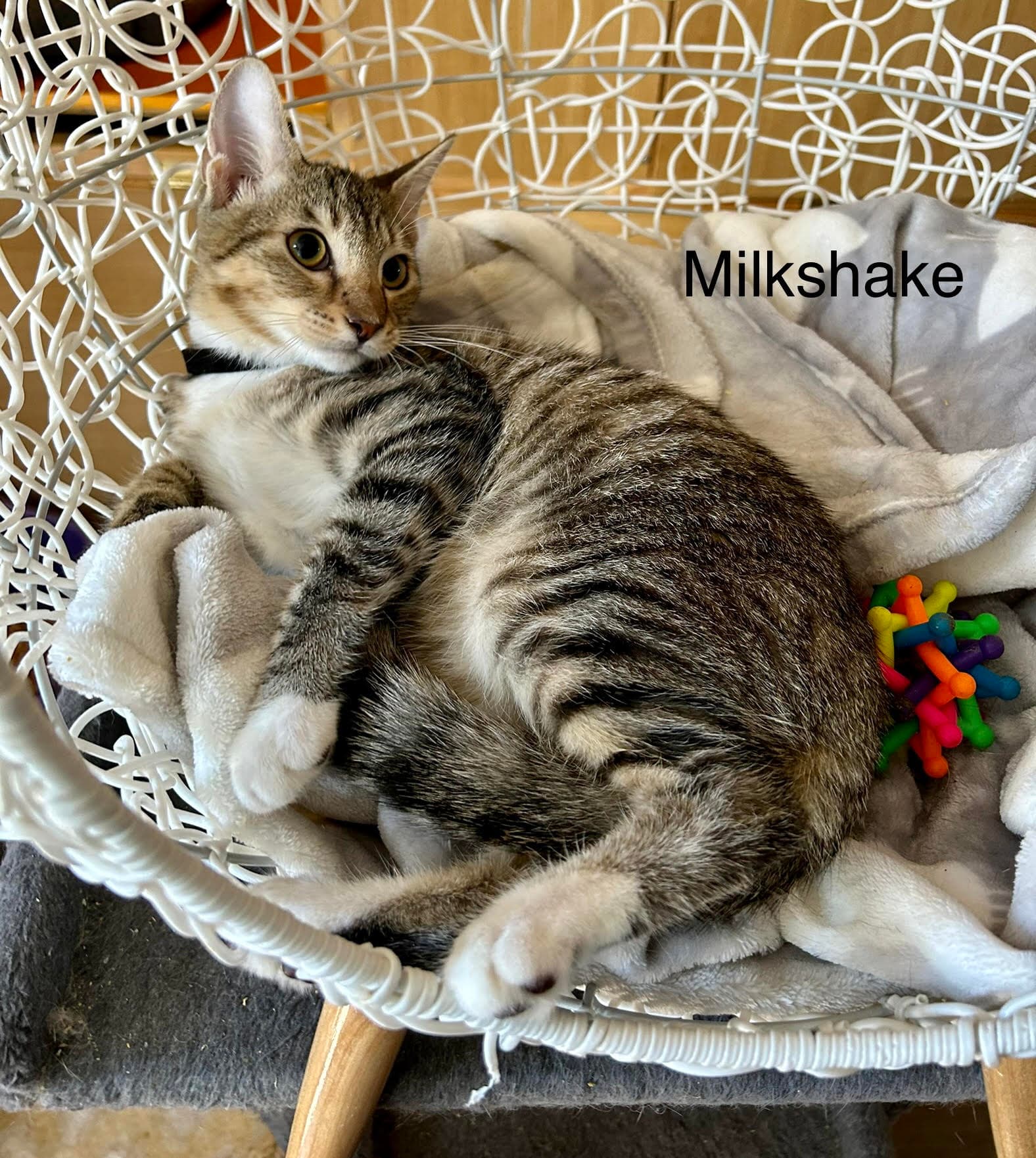 Milkshake