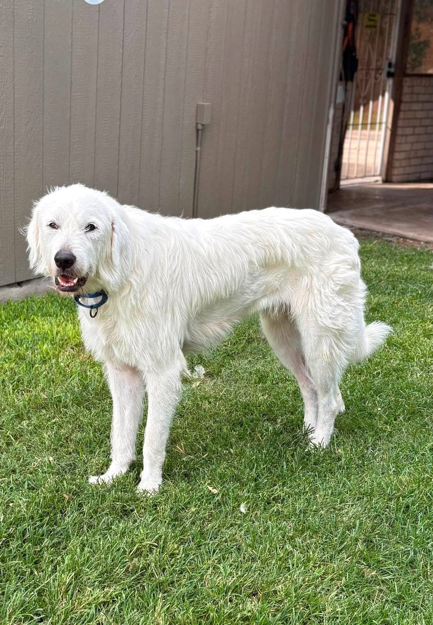 Max