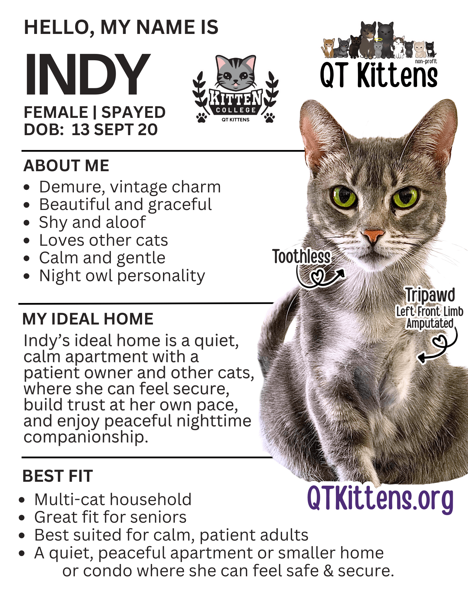 Indy