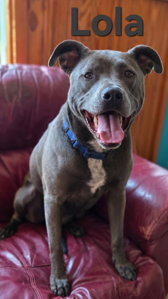 Lola (Tiana)