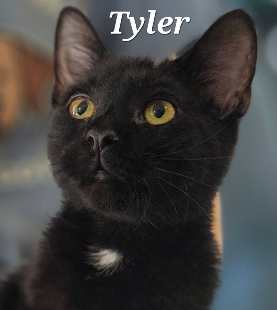 Tyler