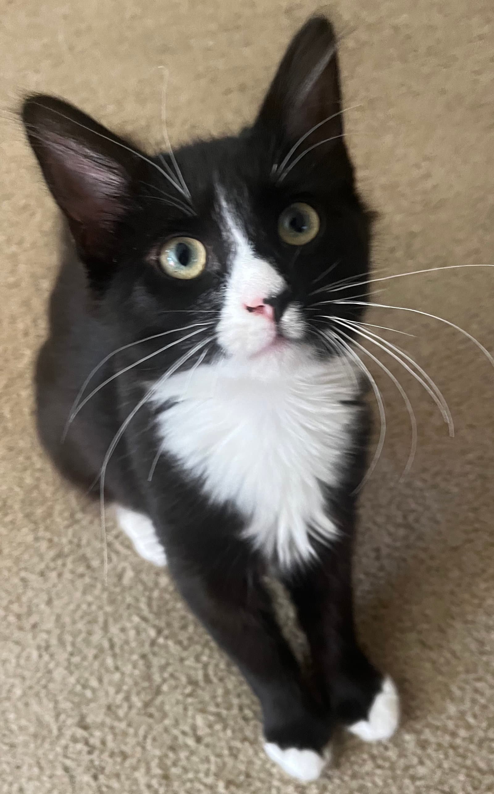 Minnie