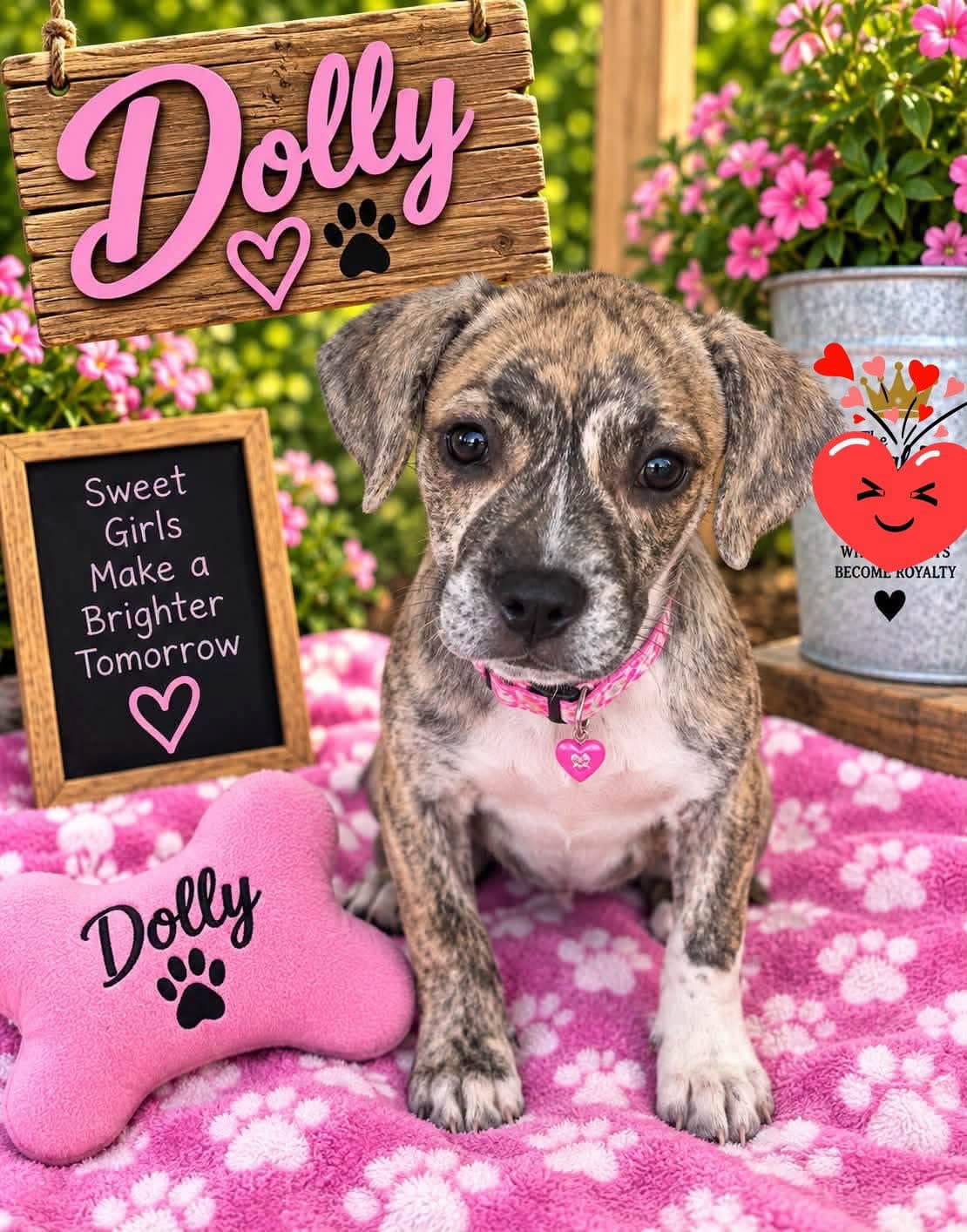 Dolly
