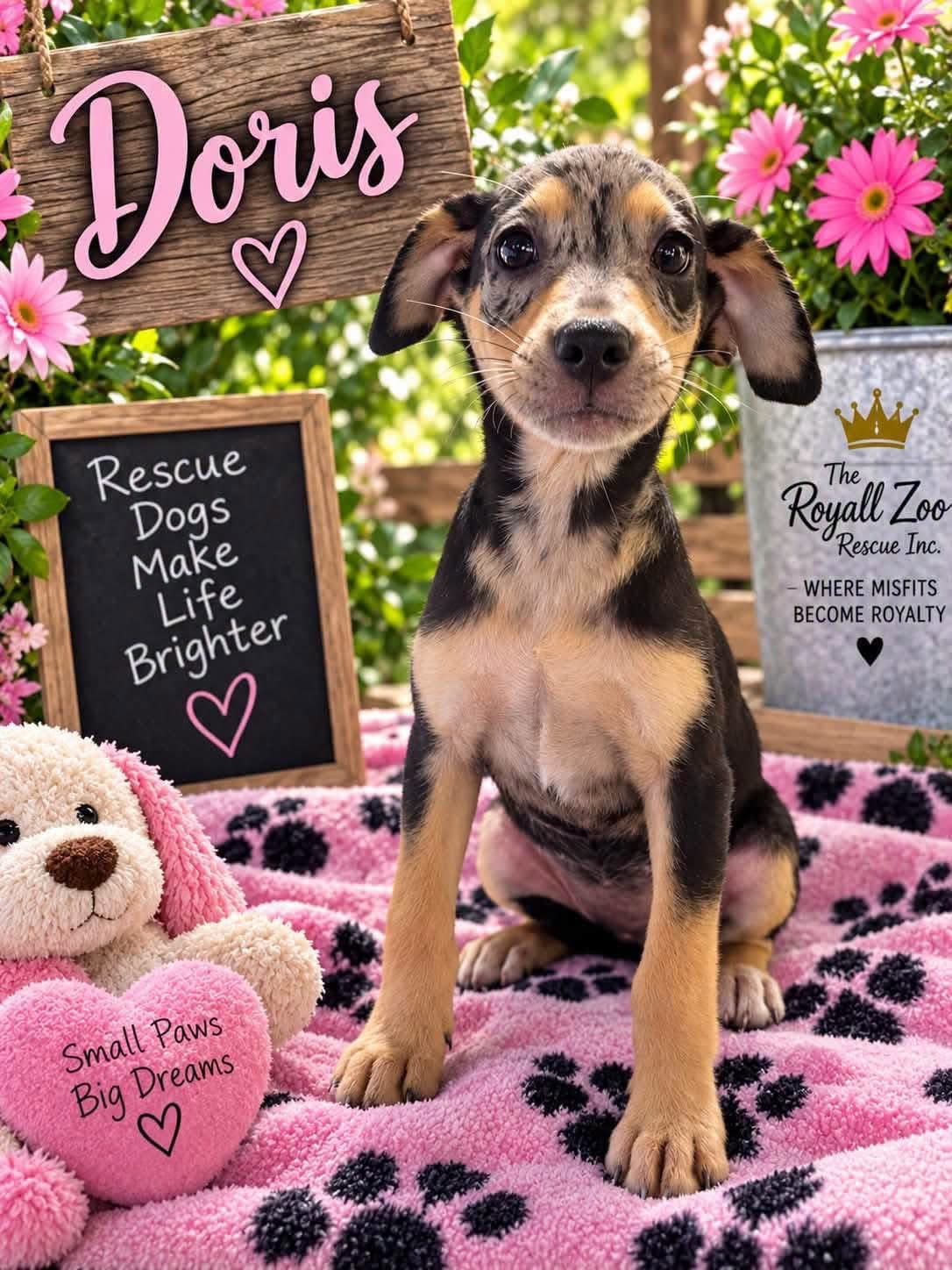 Doris