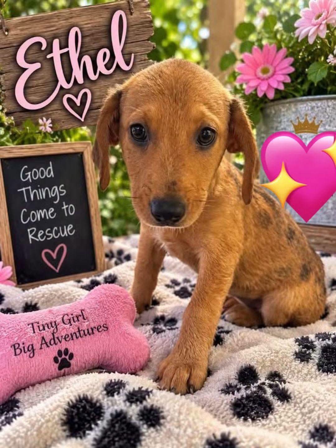 Ethel