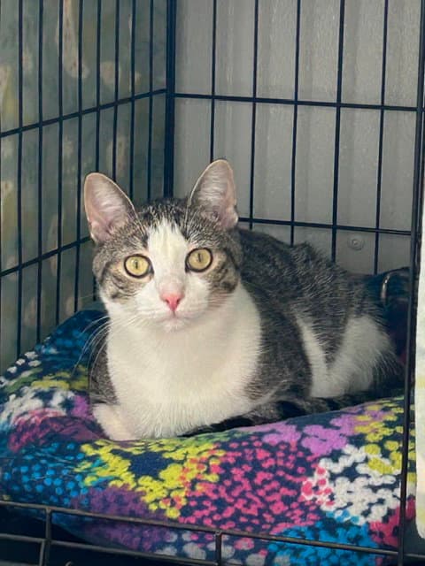Sally (Bonded with Simon)