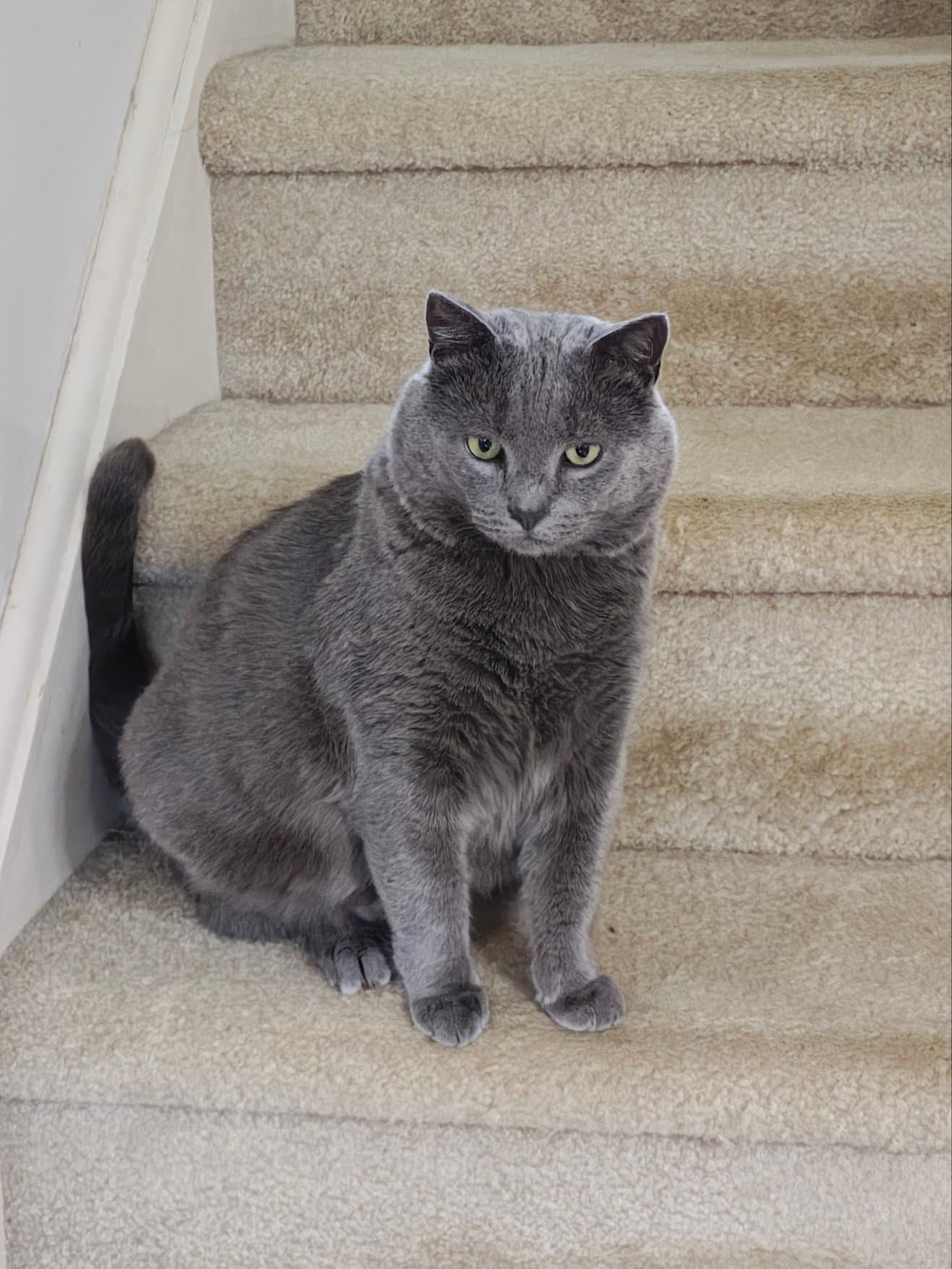 Smokey*