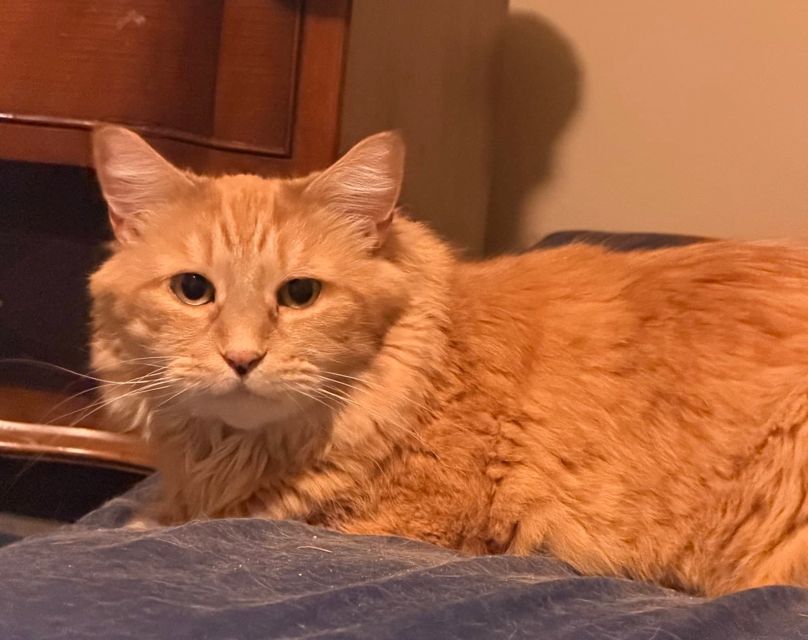 Tigger*