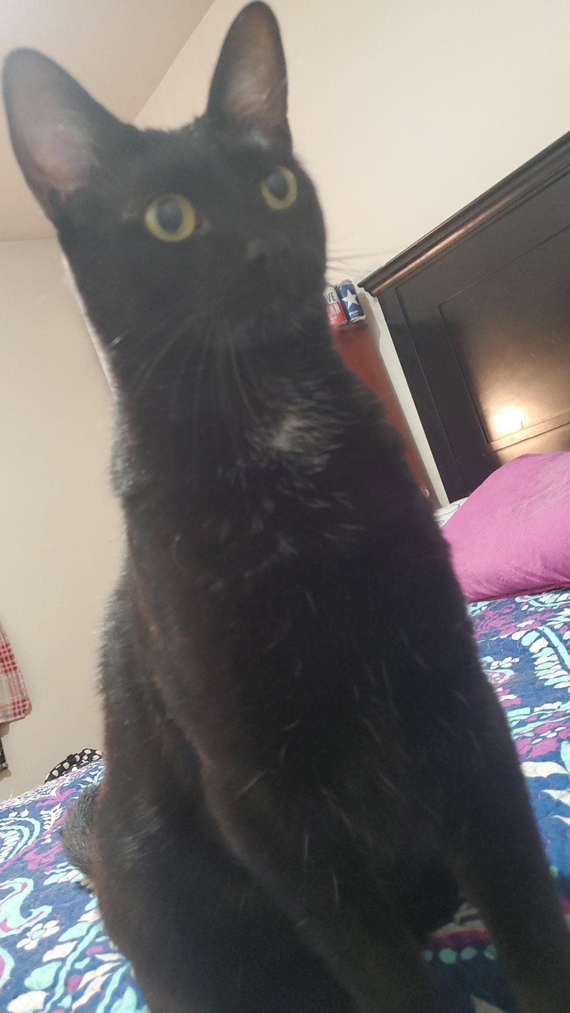 George