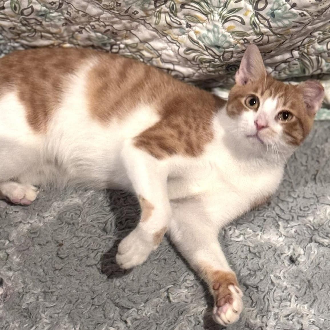 Benny