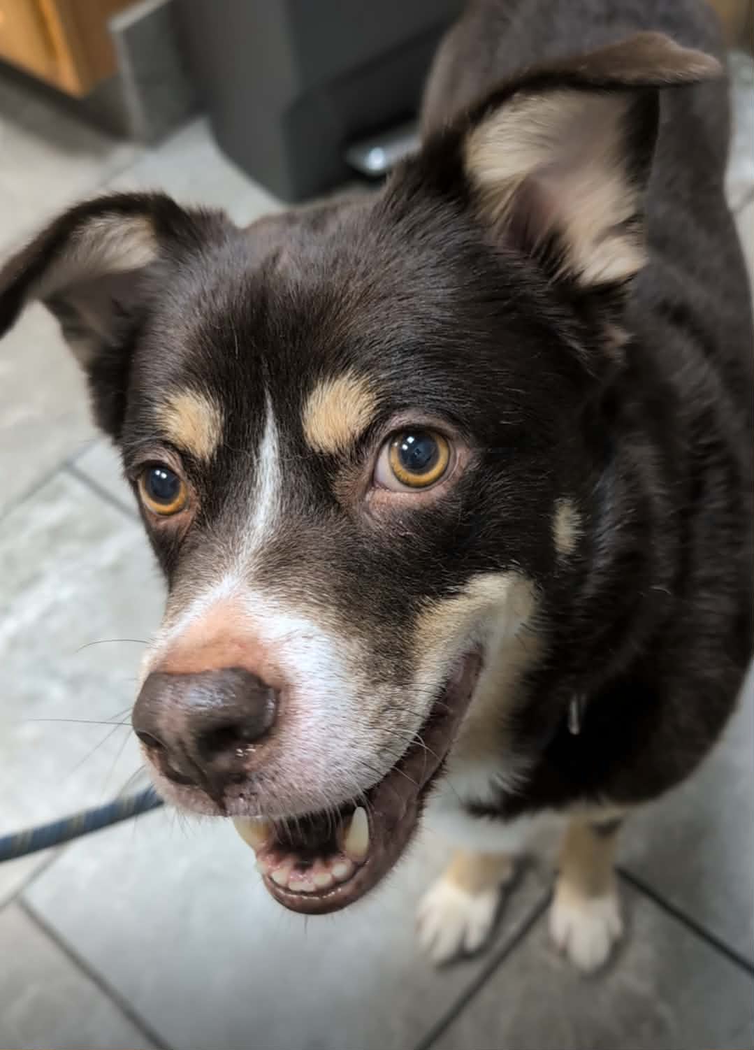 Rico