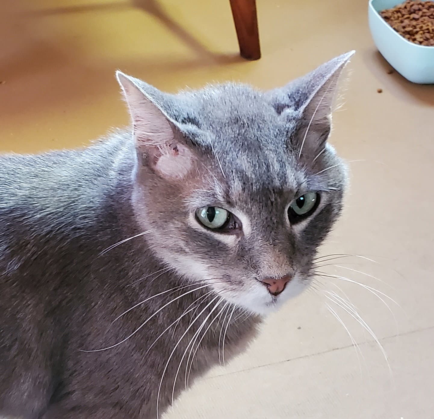 Charlie