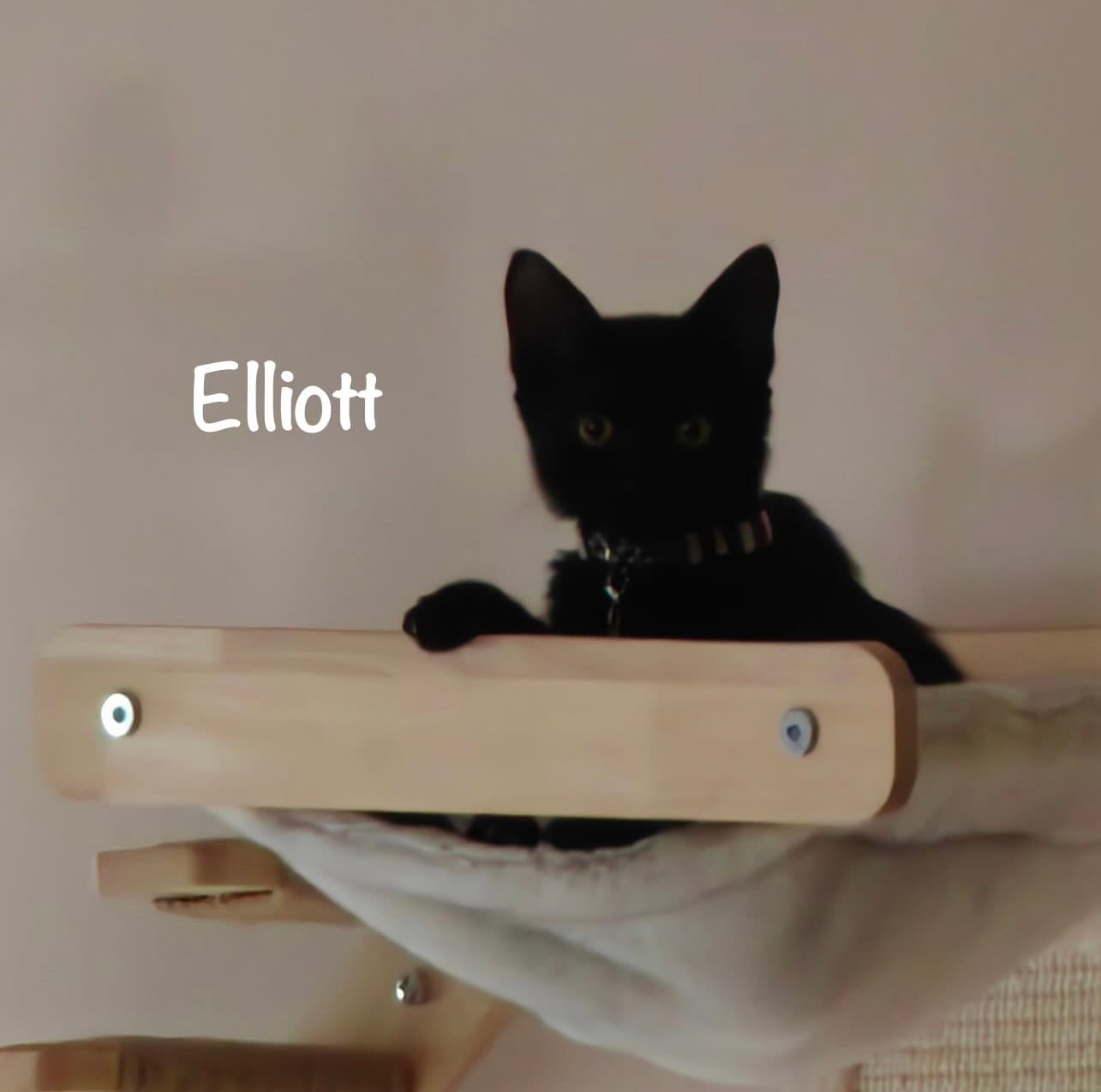 Elliott