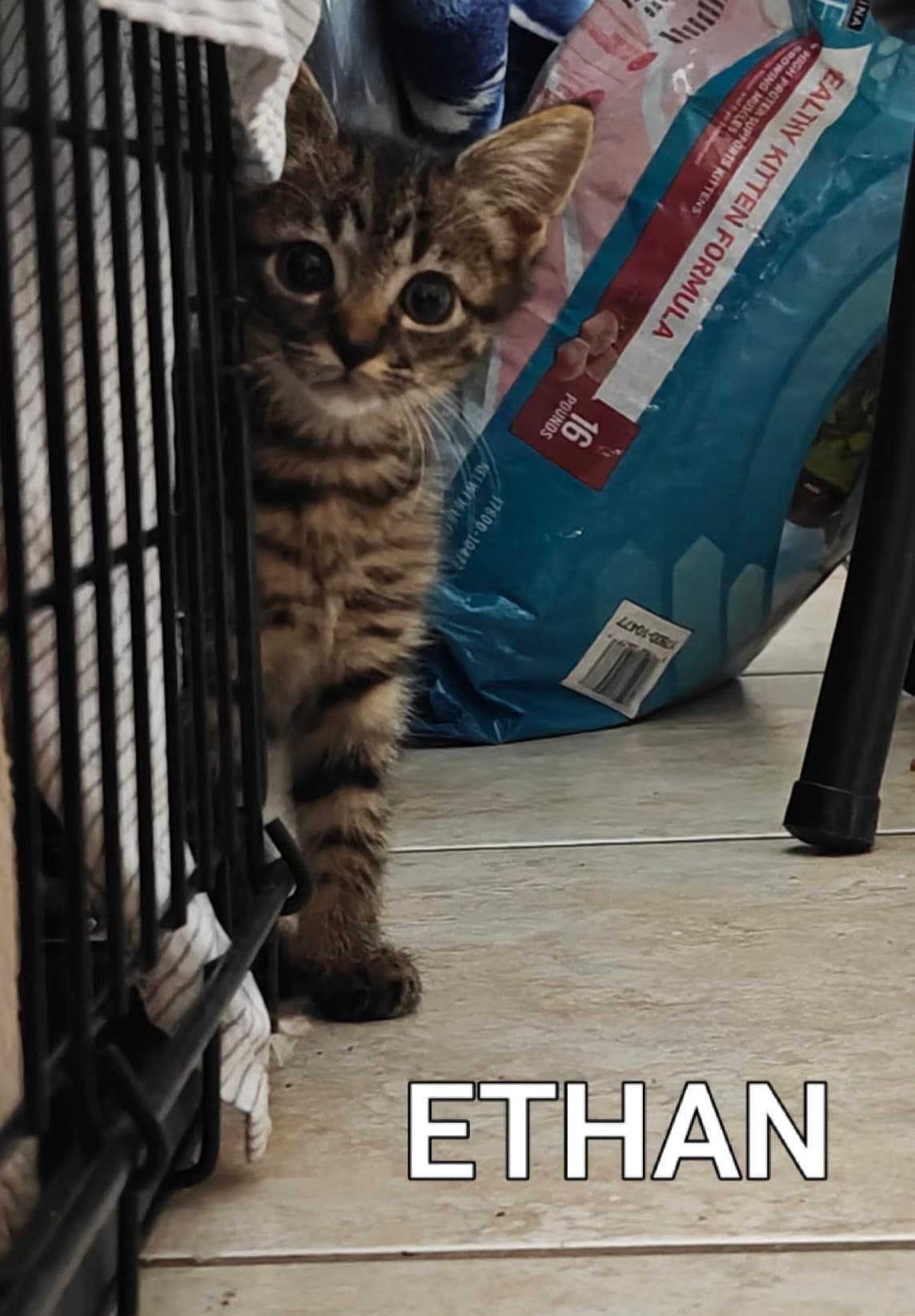Ethan