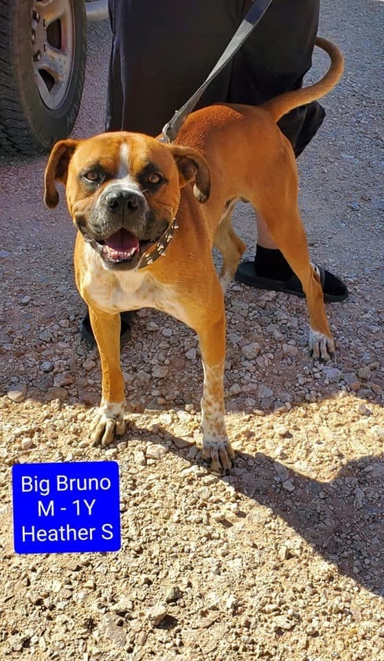 Big Bruno