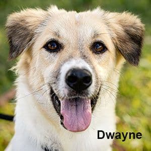 Dwayne