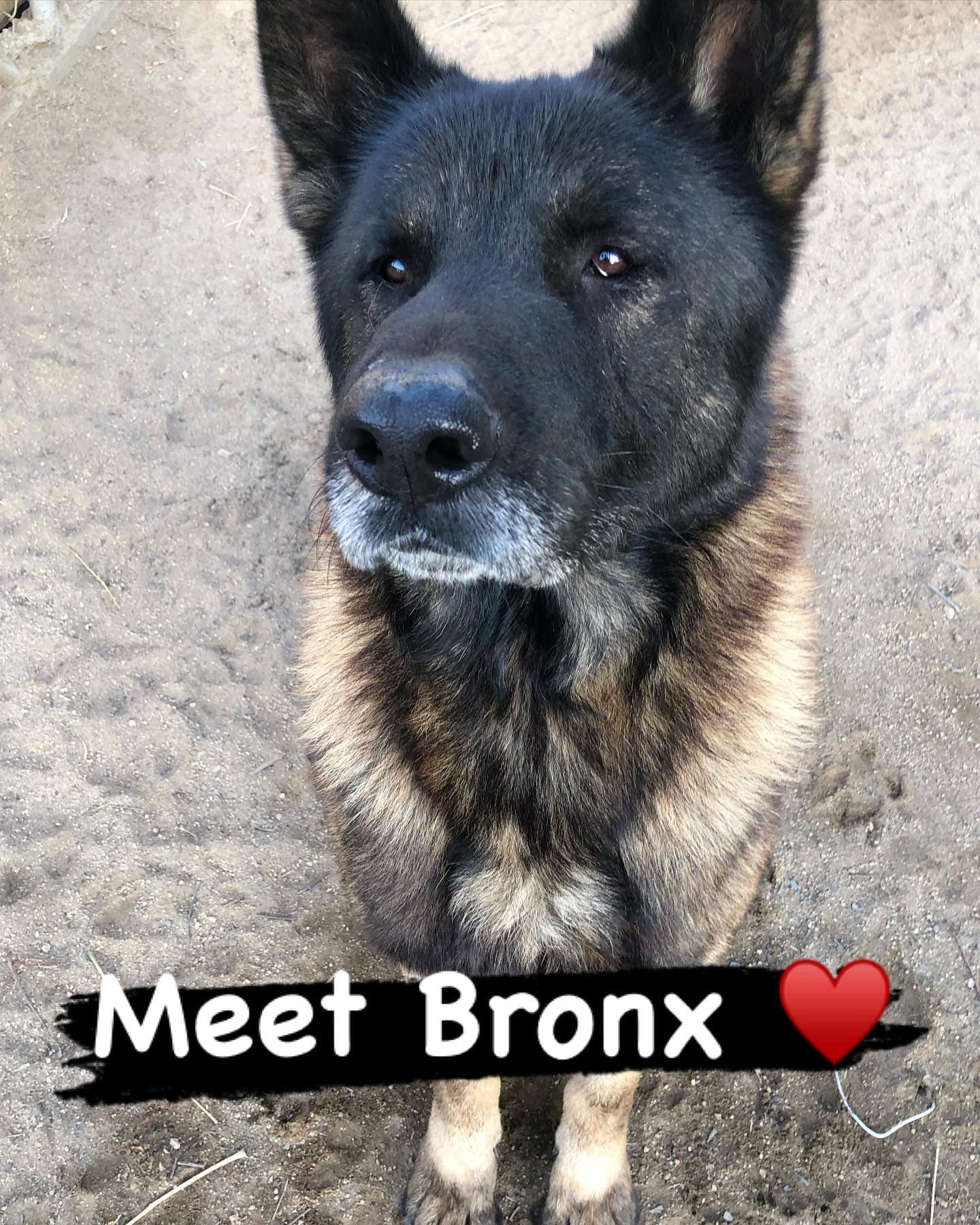 Bronx