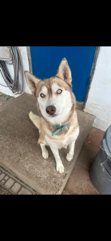 Luna