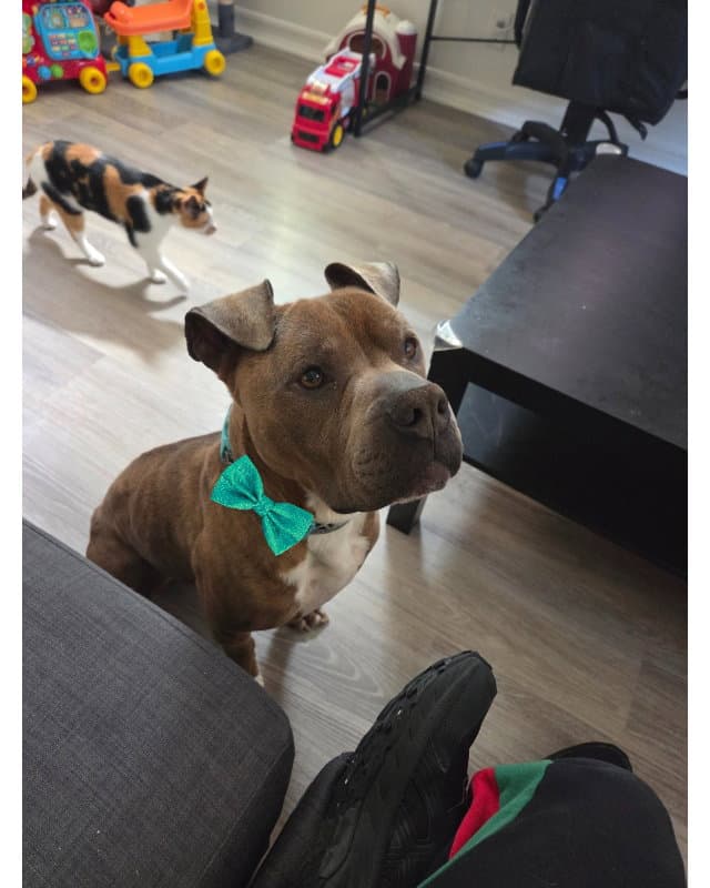 Zeus