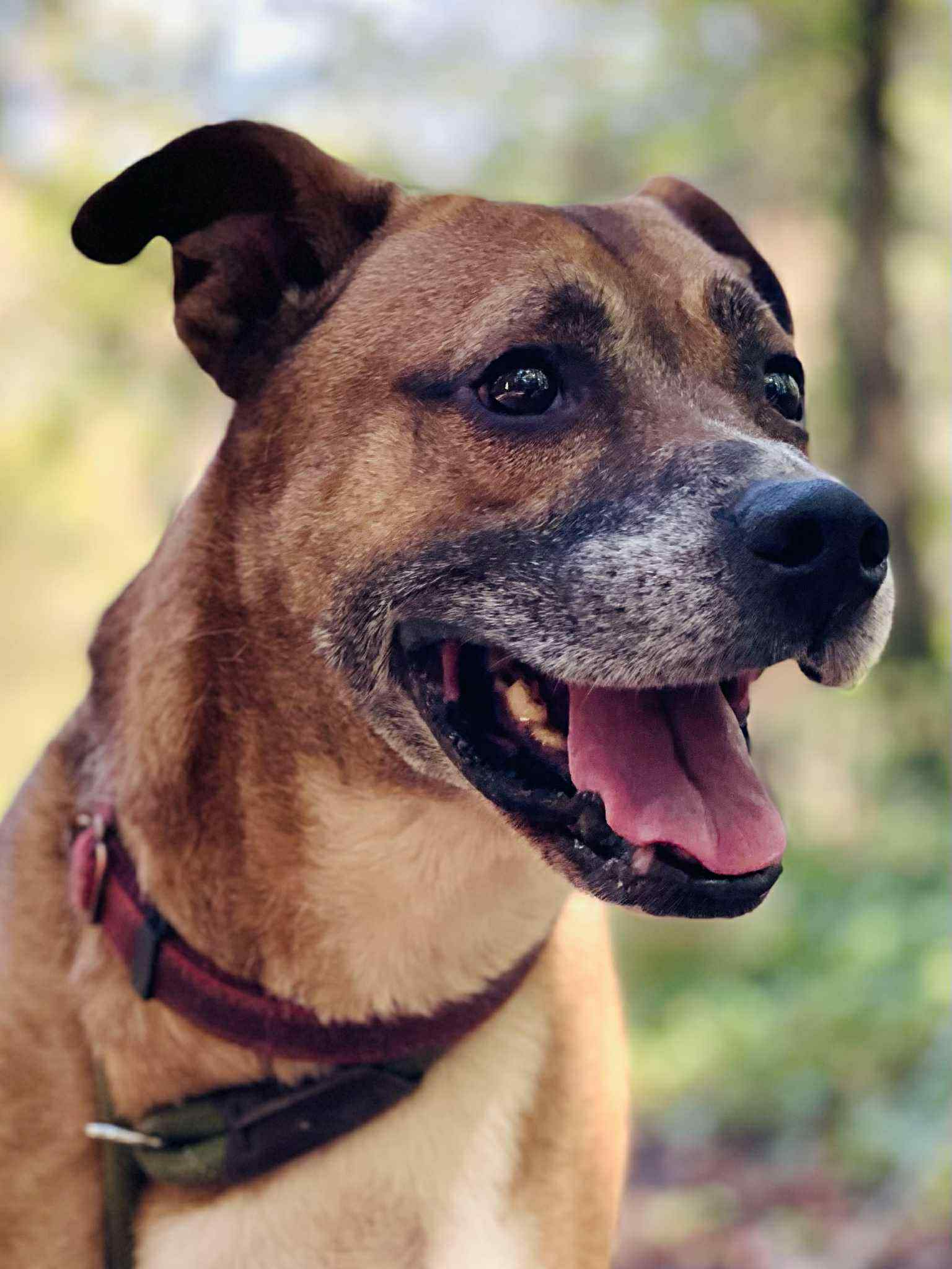Roscoe