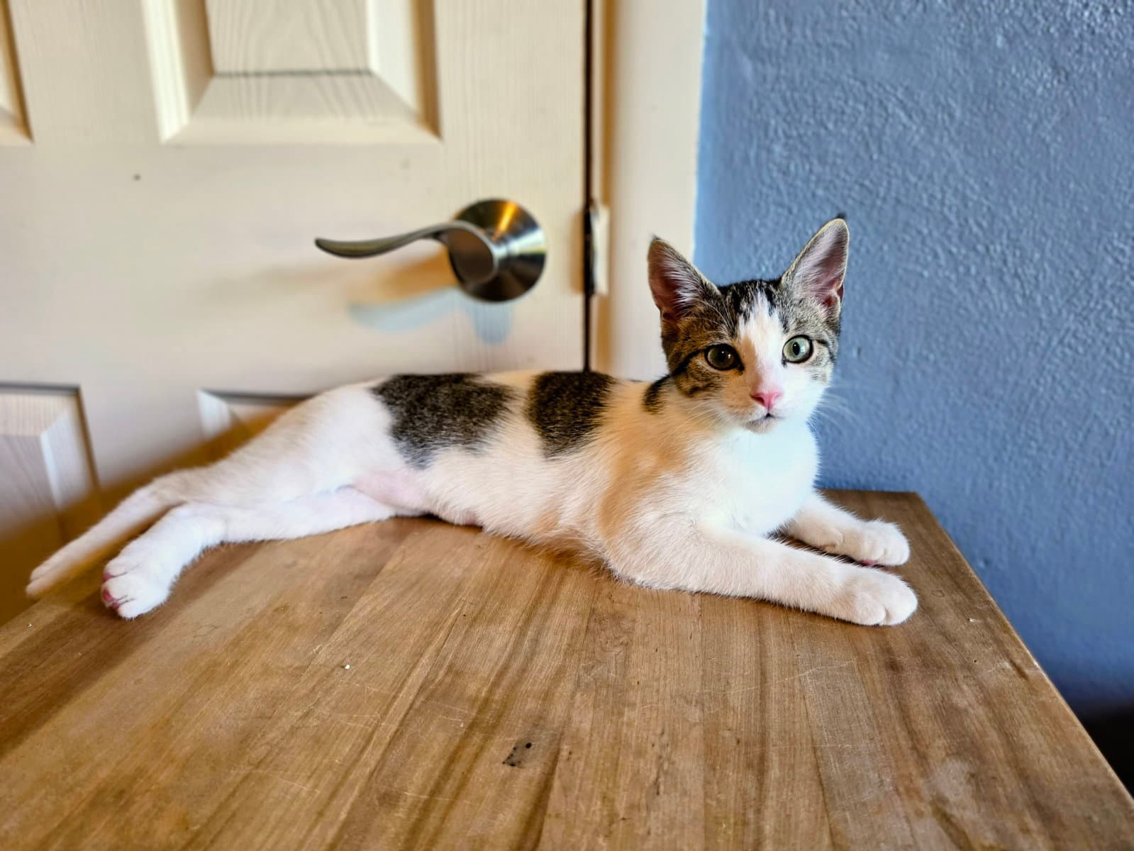 Cry Baby