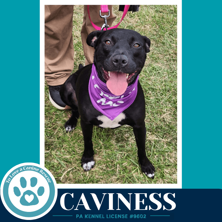 Caviness 071826