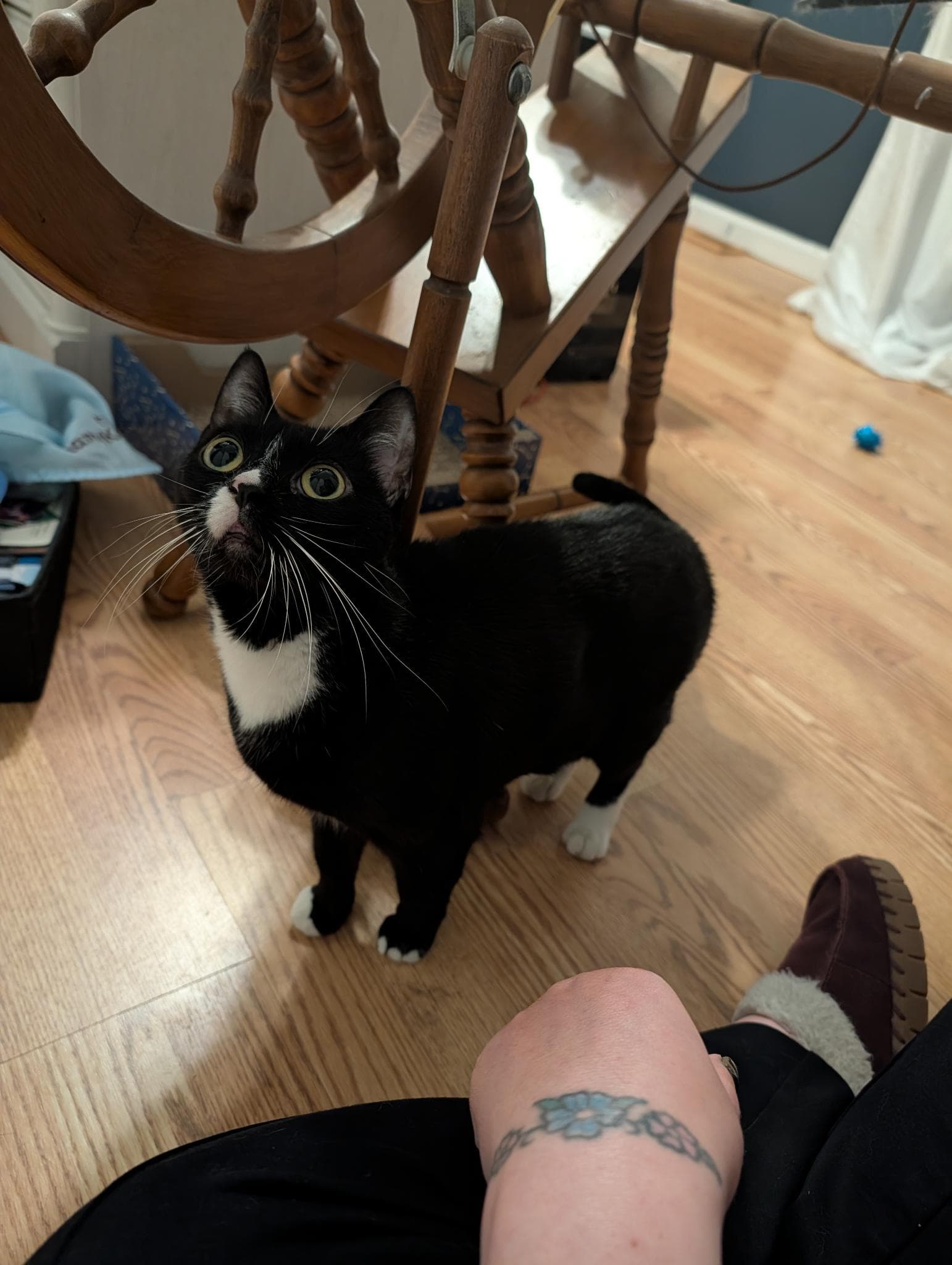 Kira