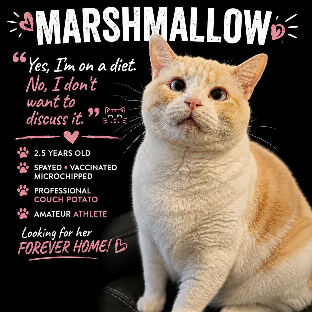 Marshmallow